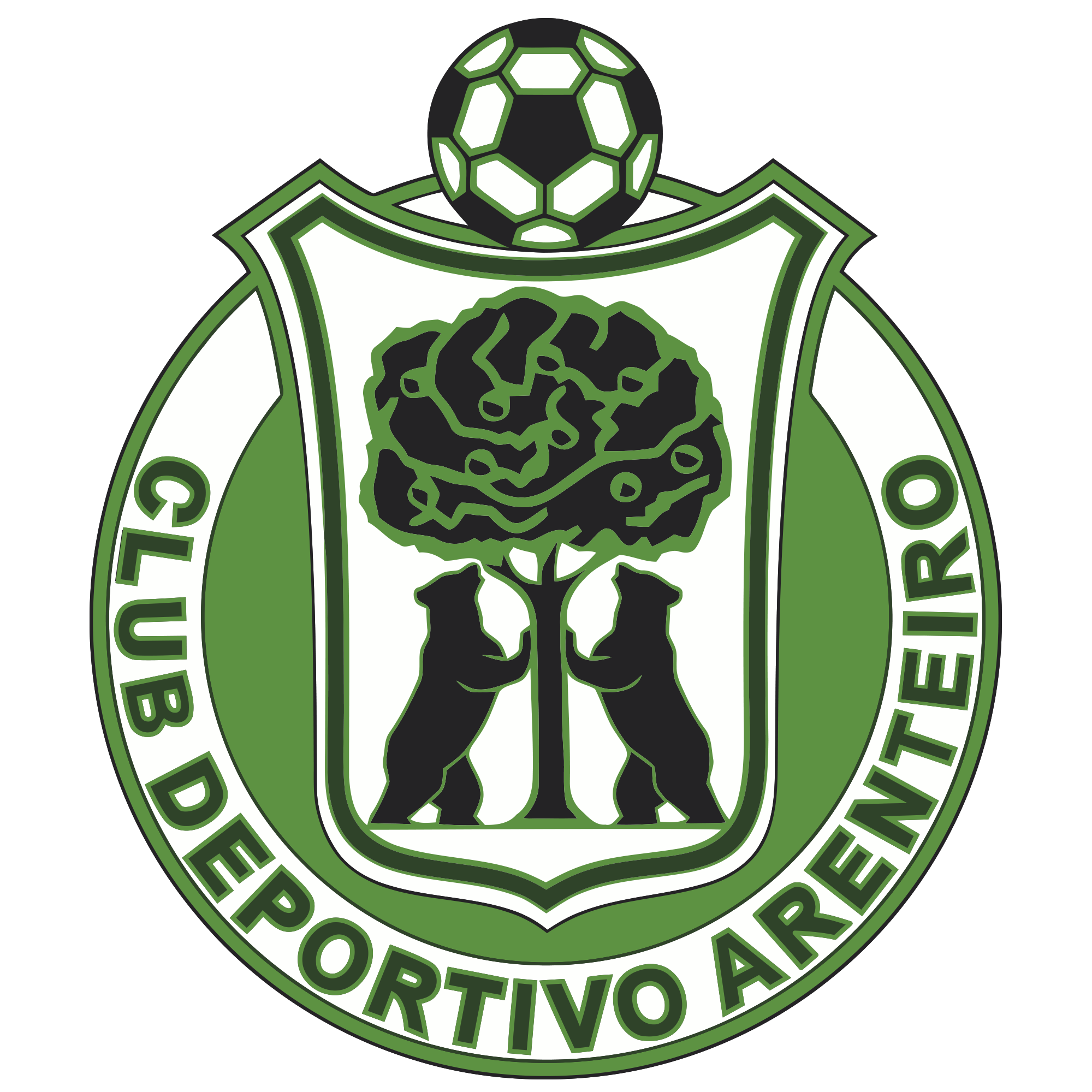 CD Arenteiro